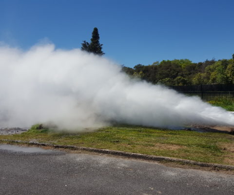 Rotorua Welldrilling action shot